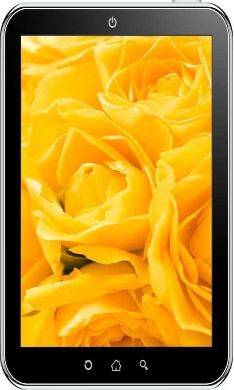 Rose Wallpaper HD 3 تصوير الشاشة