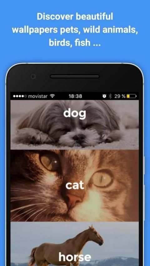 Wallpapers Whatsapp Beautiful screenshot 1