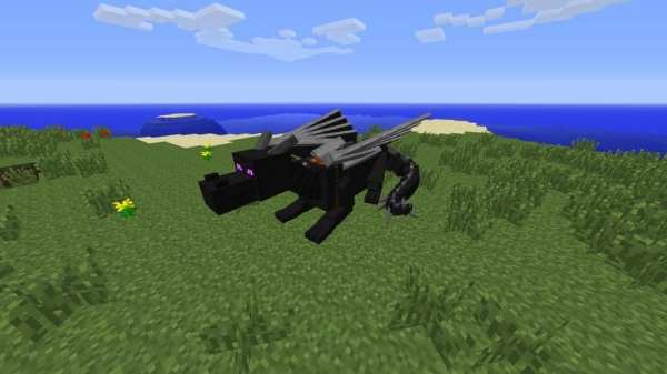 Mod Dragons for MCPE screenshot 2