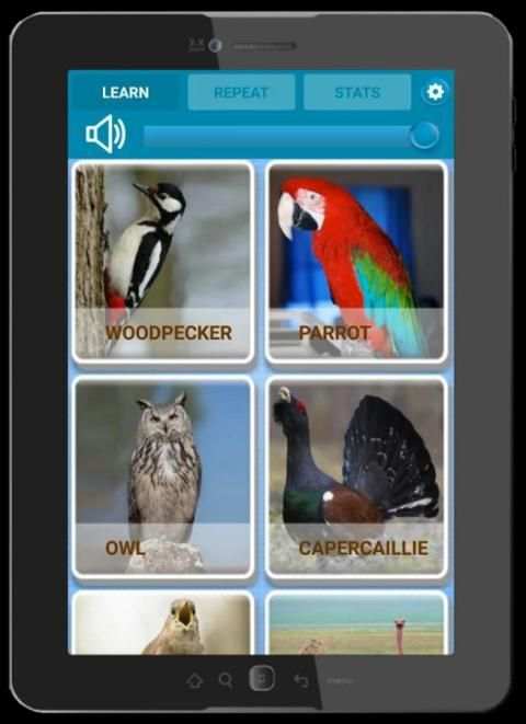 Birds Sounds for Kids screenshot 2