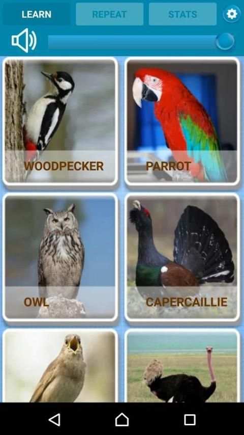 Birds Sounds for Kids screenshot 5