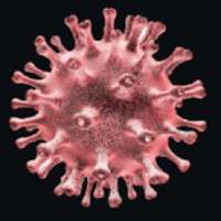 Coronavirus tracker on 9Apps