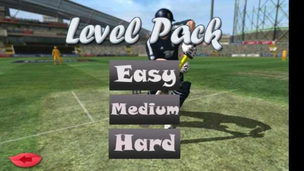 Best Cricket Game The Run screenshot 4