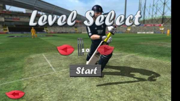 Best Cricket Game The Run screenshot 3