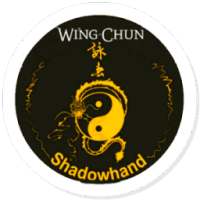 Wing Chun on 9Apps