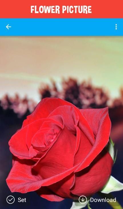 HD Wallpaper 4K скриншот 7