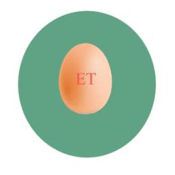 Eggrate