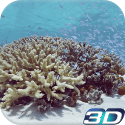 Sea Life Video Live Wallpaper أيقونة