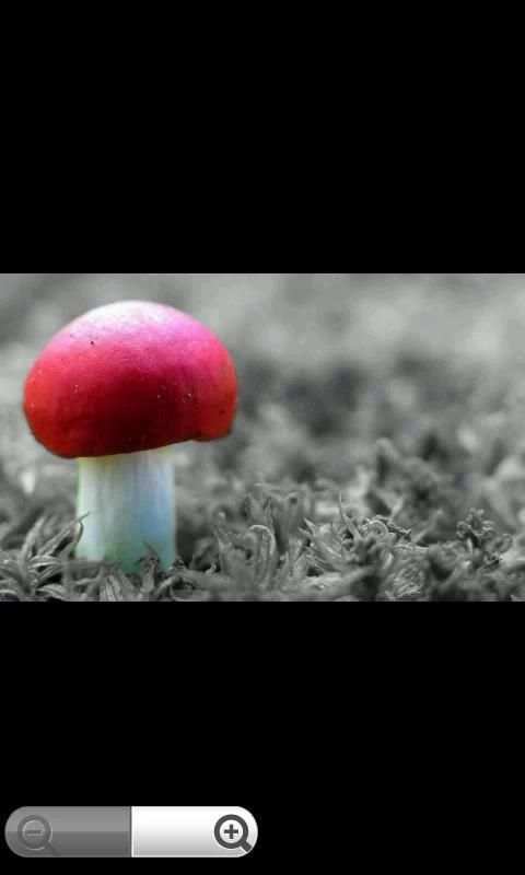 Magic Canvas स्क्रीनशॉट 3