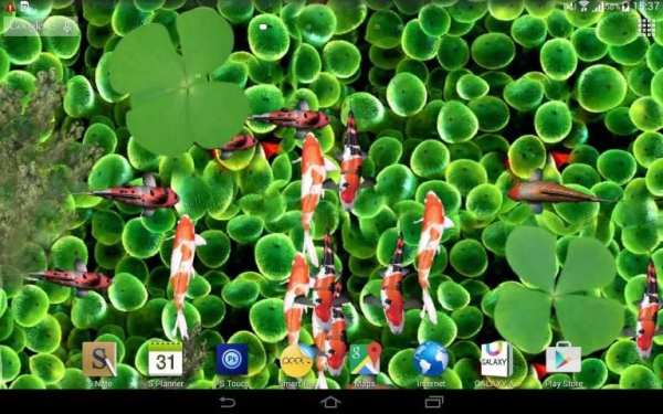 Aquarium Live Wallpaper 3D स्क्रीनशॉट 1