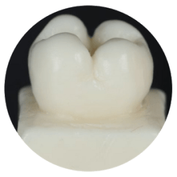 Anatomia Dentária UFF icon