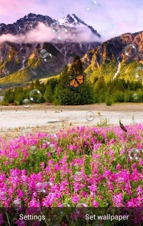 Spring Live Wallpaper स्क्रीनशॉट 4