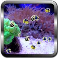 Aquarium Fishes live wallpaper