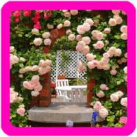Roses Garden Wallpaper