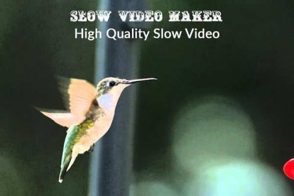 Slow Video Maker स्क्रीनशॉट 5