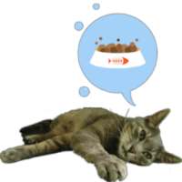 Hartie the cat widget