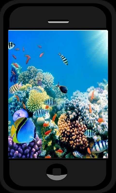 Aquarium Photo background screenshot 2