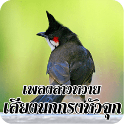 เสียงนกกรงหัวจุกร้อง icon