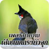 เสียงนกกรงหัวจุกร้อง on 9Apps
