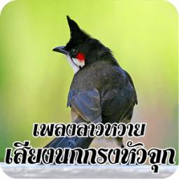 เสียงนกกรงหัวจุกร้อง 1.0