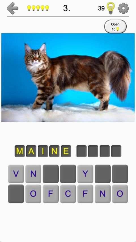 Cats Quiz - Guess Photos of All Popular Cat Breeds screenshot 5
