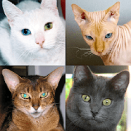 Cats Quiz - Guess Photos of All Popular Cat Breeds आइकन