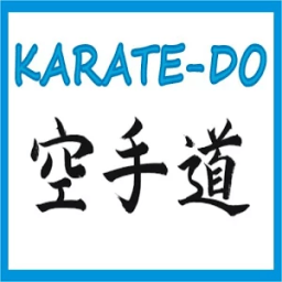 KARATE-DO TECHNICAL icon