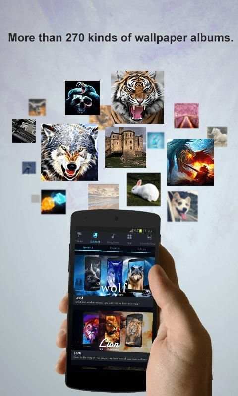 KittyPlay Wallpapers Ringtones screenshot 11