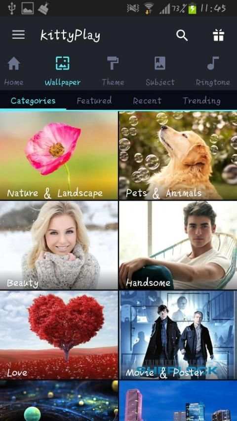 KittyPlay Wallpapers Ringtones screenshot 1