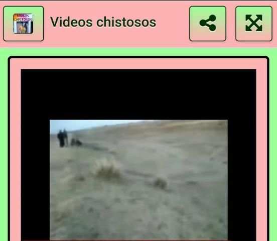 Funny videos screenshot 1