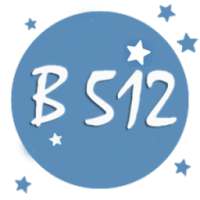 B512 Selfie Emoji Camera