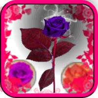 Bubble Shoot 2017 Free