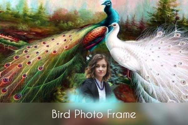 Birds Photo Frames screenshot 5