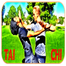 Tai Chi Борьба иконка