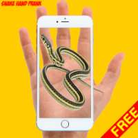 Snake Hand Funny Prank