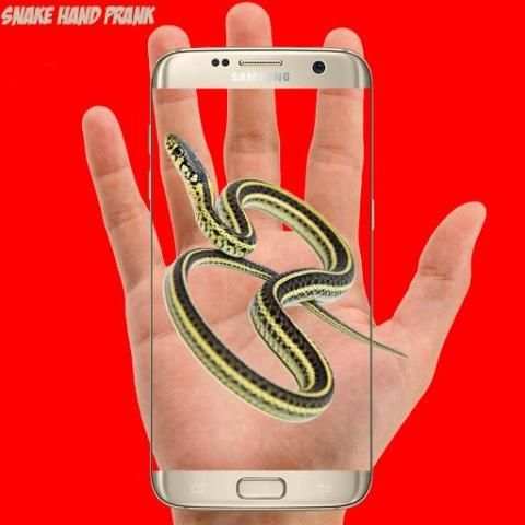 Snake Hand Funny Prank 4 تصوير الشاشة