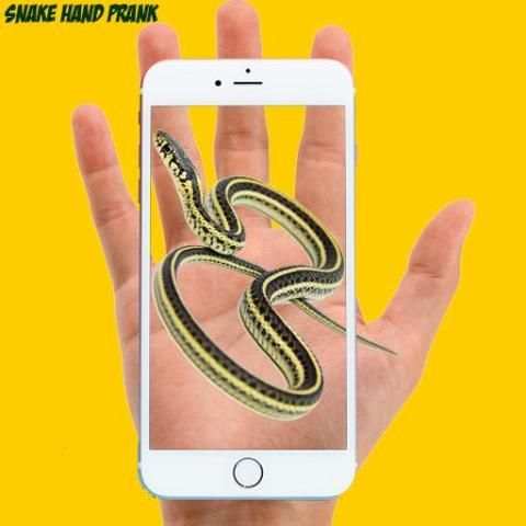 Snake Hand Funny Prank 5 تصوير الشاشة