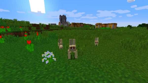 Seeds for Monecraft PE screenshot 1
