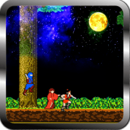 Ultimate Ninja Fighting icon