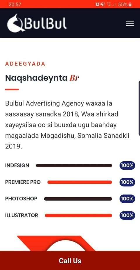 BulBul Advertising Agency screenshot 1