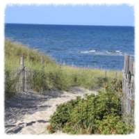 Cape Cod on 9Apps