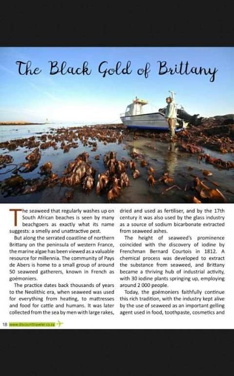 The South African Traveler Mag screenshot 1