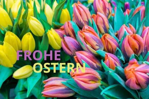 Frohe Ostern Bilder 2020 screenshot 13