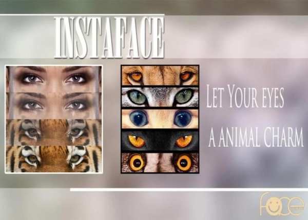 InstaFace : face morphing screenshot 5