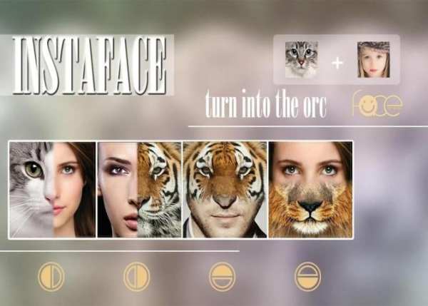 InstaFace : face morphing 6 تصوير الشاشة