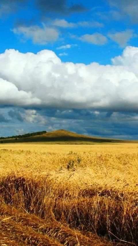 Kazakhstan Wallpapers Pro screenshot 11