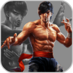 kung fu fighter 2016 icon