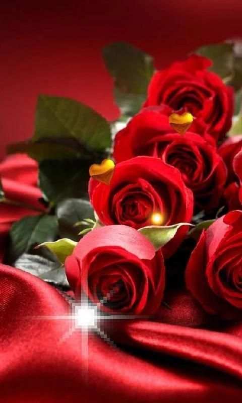Valentine Roses live wallpaper स्क्रीनशॉट 3