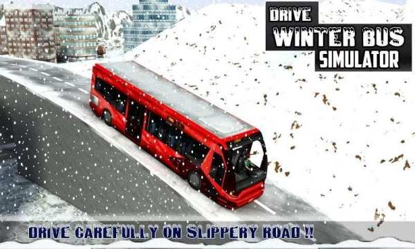 Winter Bus Drive - Tourist Sim screenshot 14