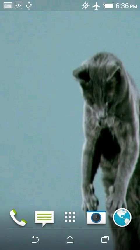 Cats Video 3D LWP screenshot 2